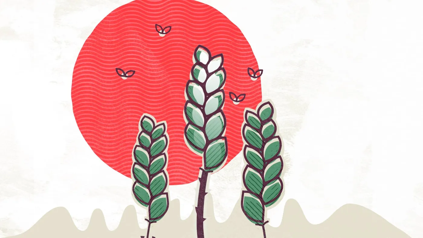 Wheat growing under a red sun
